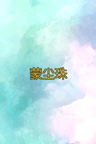 蒙尘珠